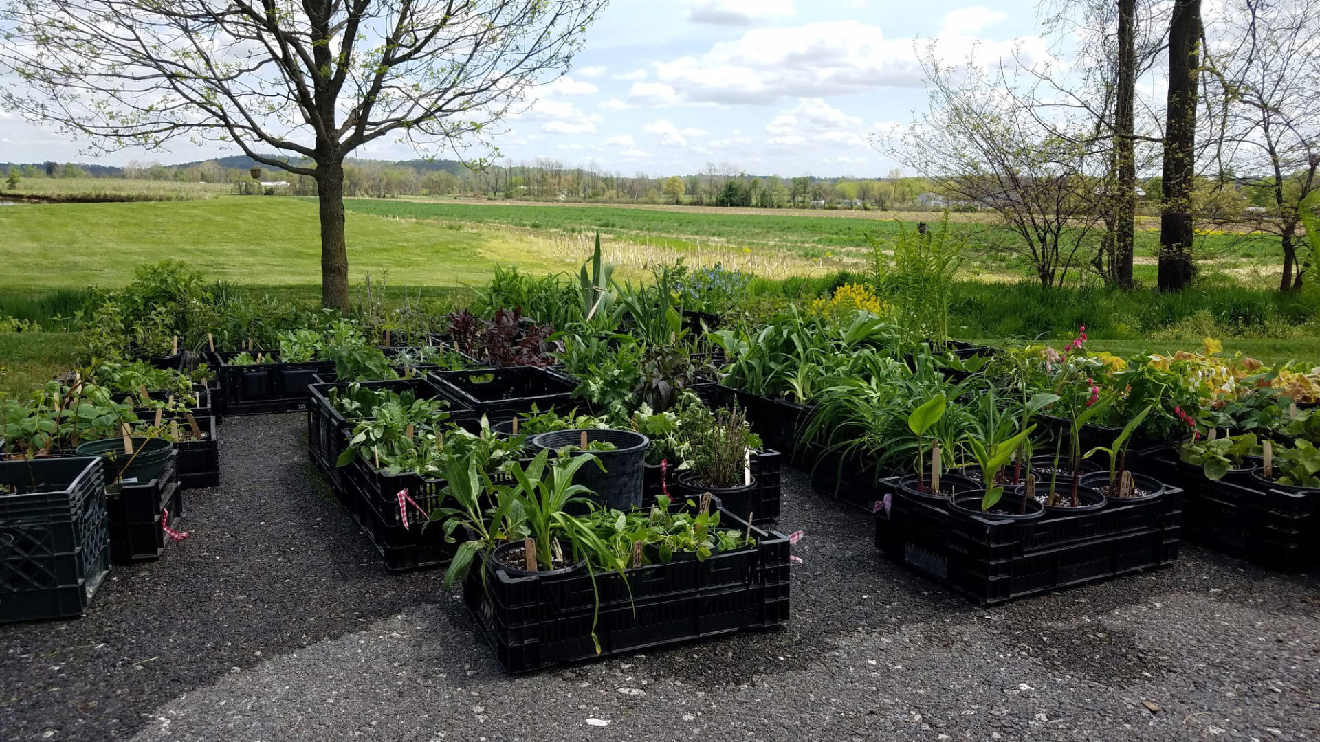 Gettysburg Garden Club plant sale May 21